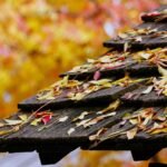 Schindeln und Geheimnisse – Das verborgene Dach-Erbe der österreichischen Volksarchitektur