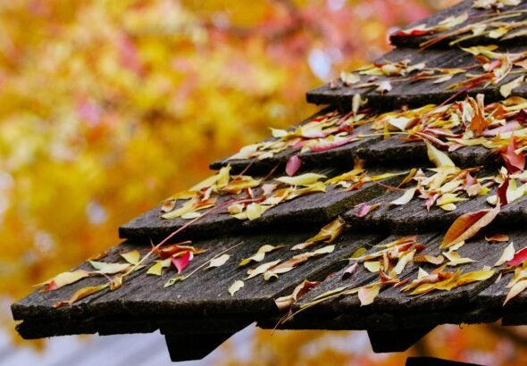 Schindeln und Geheimnisse – Das verborgene Dach-Erbe der österreichischen Volksarchitektur